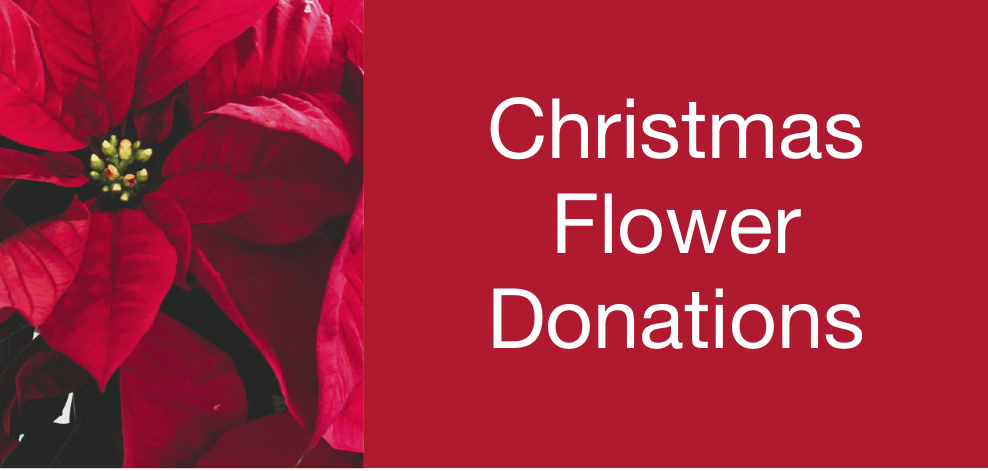 Christmas Flower Donations