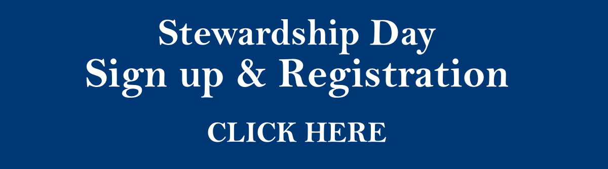 Stewardship Day Web Module
